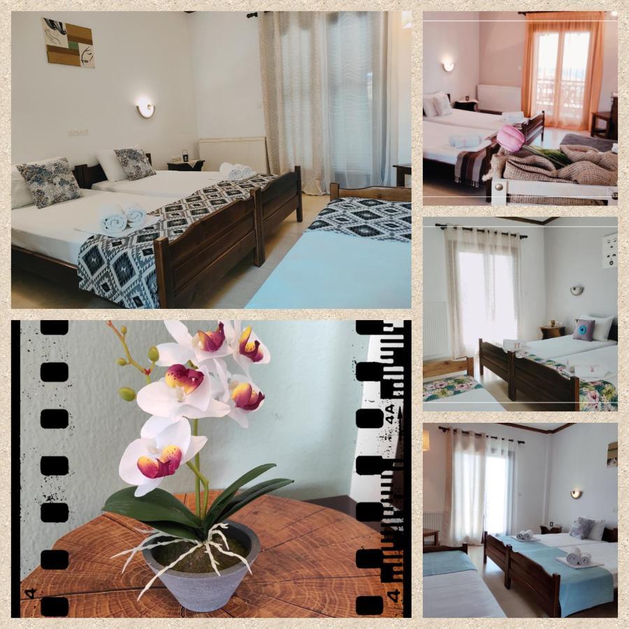 Hotel Alexandra เนอาโรดา ภายนอก รูปภาพ
