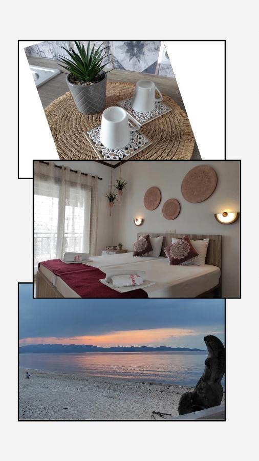 Hotel Alexandra เนอาโรดา ภายนอก รูปภาพ